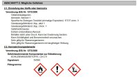 Singoli Sinco WespProtect 750ml Aerosol-Insektizid zur Abwehr von fliegenden Insekten